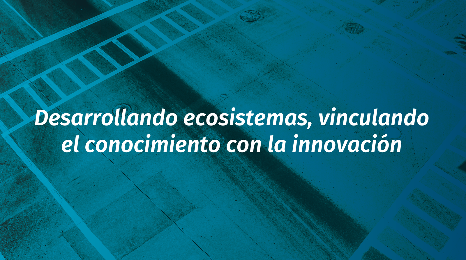 Wylinka desarrolla ecosistemas, vinculando el conocimiento con la innovación.