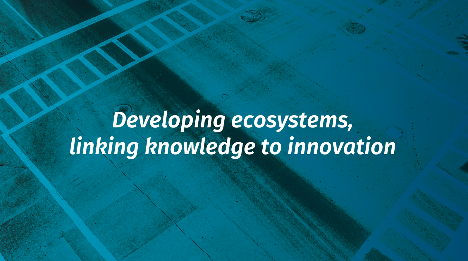 Wylinka - From Science Knowledge to Business Innovation